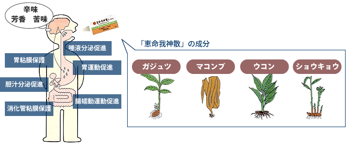 成分とはたらき